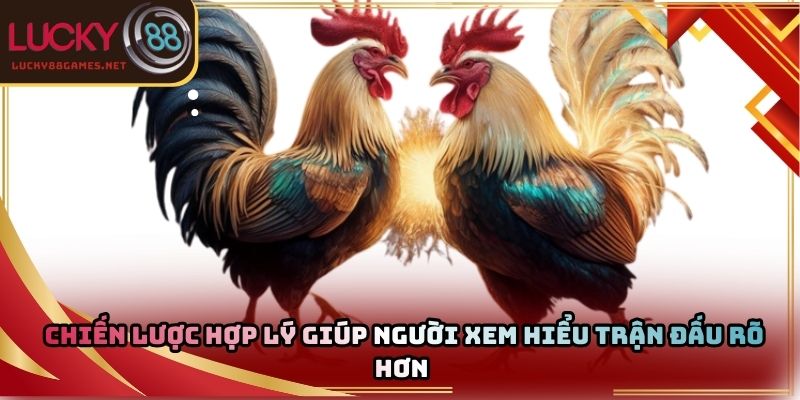 Chiến lược hợp lý giúp người xem hiểu trận đấu rõ hơn