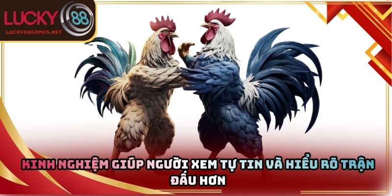 Kinh nghiệm giúp người xem tự tin và hiểu rõ trận đấu hơn