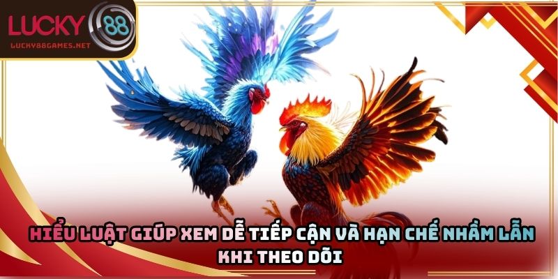 Hiểu luật giúp xem dễ tiếp cận và hạn chế nhầm lẫn khi theo dõi