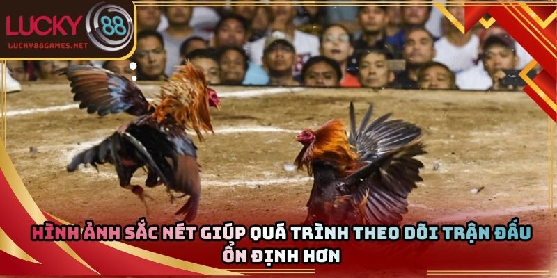 Hình ảnh sắc nét giúp quá trình theo dõi trận đấu ổn định hơn