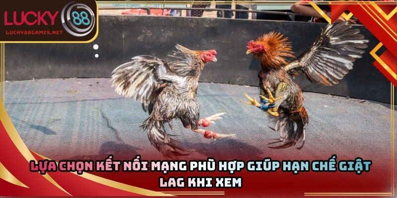 Lựa chọn kết nối mạng phù hợp giúp hạn chế giật lag khi xem