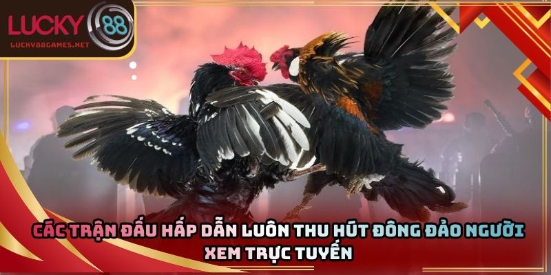 Các trận đấu hấp dẫn luôn thu hút đông đảo người xem trực tuyến